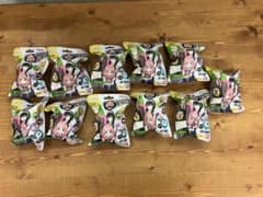 SPY×FAMILY Surprise Egg Carbonated Bath Bomb with Mascot (Secret)