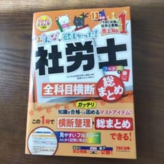 2024年度版 みんなが欲しかった! 社労士全科目横断総まとめのサムネイル