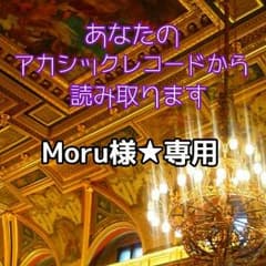 Moru様☆専用アカシックレコードのサムネイル