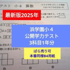 最新版2025年】浜学園小4 公開学力テスト 3科目1年分 算国理y - メルカリ