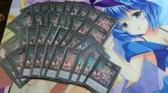 遊戯王 フレシアの蠱惑魔40枚のサムネイル