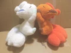 ポケモン ぬいぐるみ ロコン アローラ セット くつろぎタイムのサムネイル