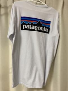 patagonia パタゴニア Tシャツのサムネイル