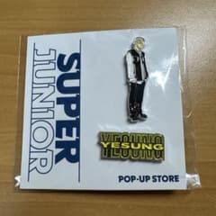 SUPERJUNIOR イェソン 愛知 会場限定 ピンバッジ【新品未開封】 SUPER JUNIOR YESUNG イェソン ピンバッジ - メルカリ