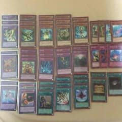 遊戯王 霊獣 デッキのサムネイル