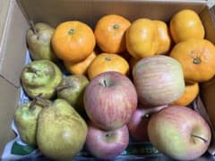 山形県産　サンふじ　りんご　ラフランス　湘南みかん　セットのサムネイル