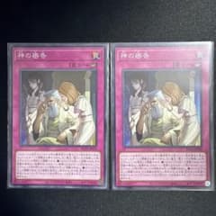 【遊戯王】神の密告 2枚セット【匿名発送】のサムネイル