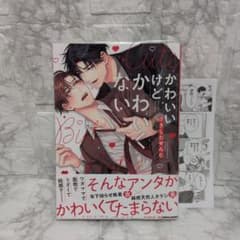 コレステリン様 リクエスト 3点 まとめ商品のサムネイル