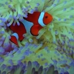 マサ様専用のサムネイル