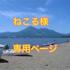 ミドリムシのサムネイル
