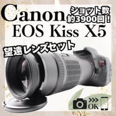 ショット数約3900回✨Canon EOS Kiss X5✨スマホ転送✨一眼レフ - メルカリ