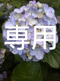 モコさま  えんそくおにぎりのサムネイル