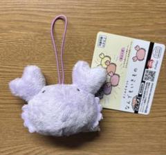 なんでもいきもの カニーズ マスコット 紫