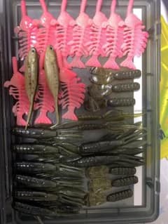 Bass fishing retirement set (worms)