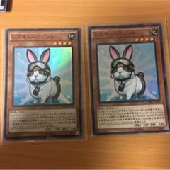 レスキューラビットのサムネイル