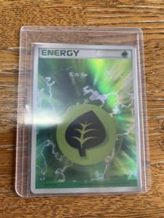 基本 草エネルギー 2006年版 ホロ R8P-6AH-PUX ポケカ ポケモン - メルカリ