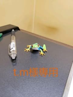 ☆Ploom s スターターキッド☆のサムネイル