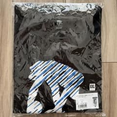 EGOZARU 島根スサノオマジック Tシャツ 2025-26 ブラック 2XL - メルカリ
