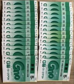 グノーブル G脳ワークアウト 算数 5年 全30冊セットのサムネイル