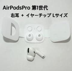 Apple AirPods Pro 第1世代 片耳 R 片方 純正イヤーチップのサムネイル