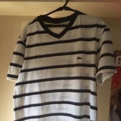 ラコステ ボーダーTシャツのサムネイル