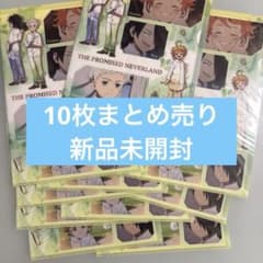 약속의 네버랜드 클리어 파일 신품 미개봉 10장 정리 판매 대량