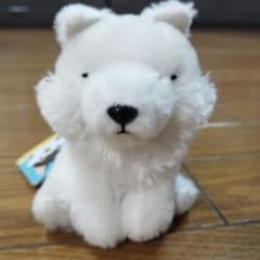ほっきょくんのサムネイル