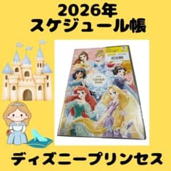 2026년 디즈니 프린세스 스케줄장