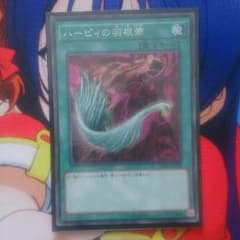 ハーピィの羽根帚のサムネイル