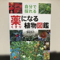 自分で採れる薬になる植物図鑑のサムネイル