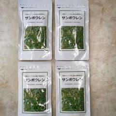 サンポウレン　三宝　バラ売り可のサムネイル
