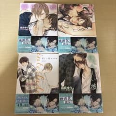 美しい彼・悩ましい彼・憧らしい彼・interlude 4巻セットのサムネイル