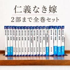 仁義なき嫁 高月紅葉 ラルーナ文庫 2部まで全巻セット 19冊 商業BL 仁義なき嫁 高月紅葉 ラルーナ文庫 2部まで全巻セット 19冊 商業BL