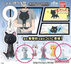 しょんぼり猫 めじるしアクセサリー 5種セットのサムネイル