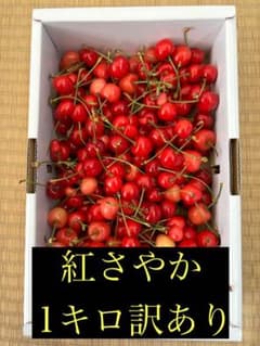 さくらんぼ 紅さやか 訳あり 1kg 31日発送のサムネイル
