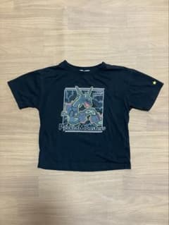 ポケットモンスター 黒いレックウザ 130のサムネイル