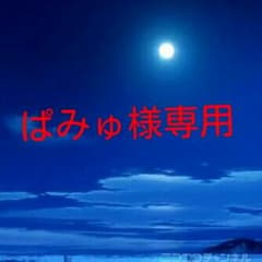 ぱみゅ様専用のサムネイル
