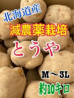 51 減農薬栽培　北海道産　じゃがいも　とうや　約10キロのサムネイル