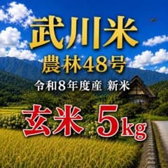 武川米・農林48号【玄米】5kg ☆令和8年度産 新米☆農家直送 - メルカリ