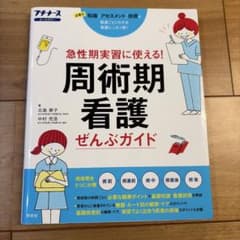 周術期看護ぜんぶガイド : 急性期実習に使える! : 必要な知識アセスメント技…のサムネイル
