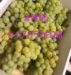 ナイアガラ2キロ箱 ぶどうのサムネイル