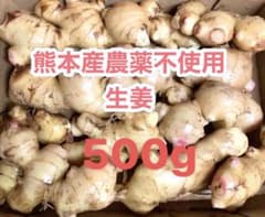 説明必読＊地域お知らせ下さい＊熊本産農薬不使用生姜500g - メルカリ