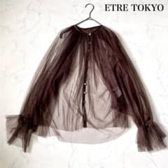ETRE TOKYO ボリュームギャザーブラウス　長袖　シアー素材　ブラウン　F ETRE TOKYO ボリュームギャザーブラウス 長袖 シアー素材 ブラウン F