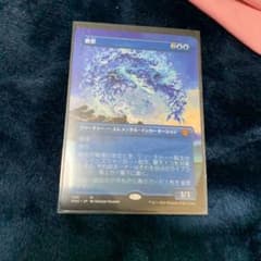MTG 緻密　ショーケース版のサムネイル