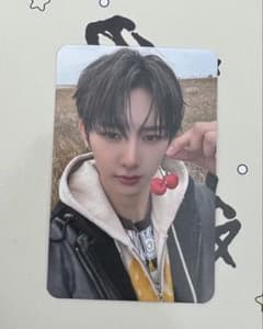 alphadriveone ald1 アンシン サノク トレカ - メルカリ