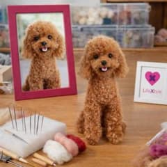 羊毛フェルト トイプードル オーダーメイド 写真から制作のサムネイル