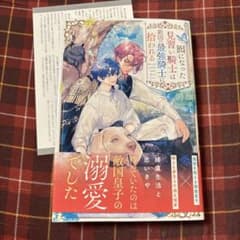 BL 新刊　囮になった見習い騎士は敵国の最強騎士に拾われるのサムネイル