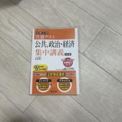大学入学共通テスト公共,政治・経済集中講義のサムネイル