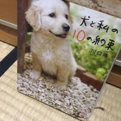 犬と私の10の約束のサムネイル