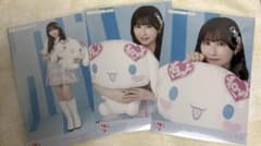 は*る様 イコラブ 山本杏奈 シナモンコラボ2025生写真 直筆コンプ イコールラブ イコラブ 山本杏奈 生写真 シナモロールコラボ2025 直筆